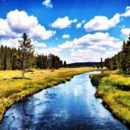 ������ ������� ���� ������