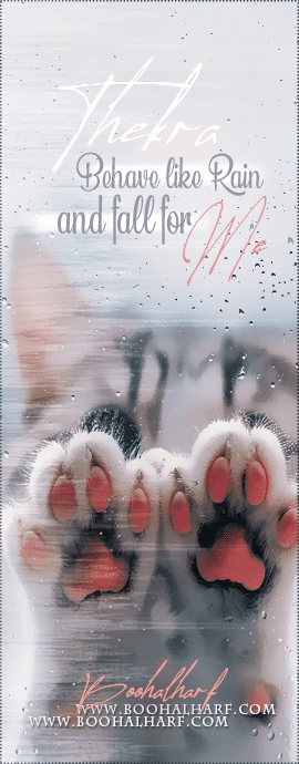 ������ ������� ����