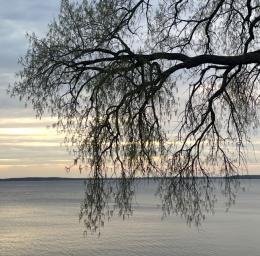 ������ ������� ���� �����