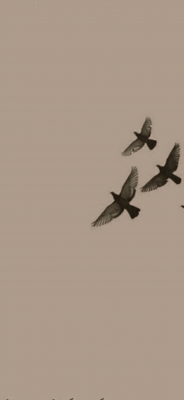 ������ ������� �������