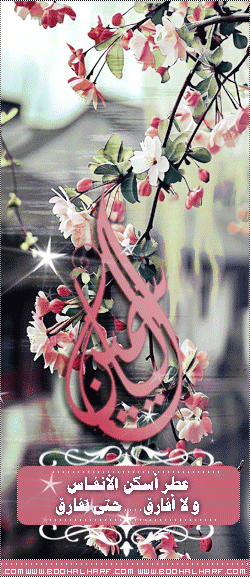 ������ ������� ������������