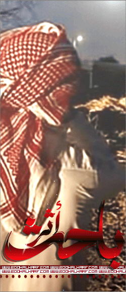 ������ ������� ���� ���